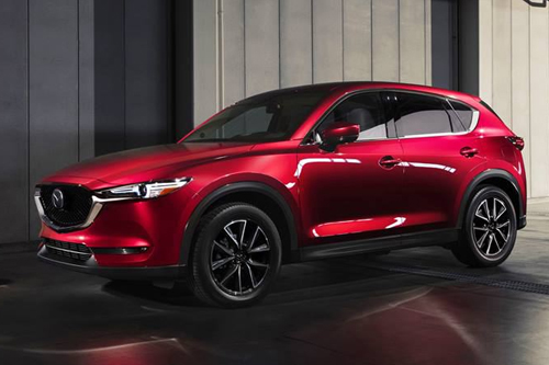 Bao Quan Xe O To Mua Dich