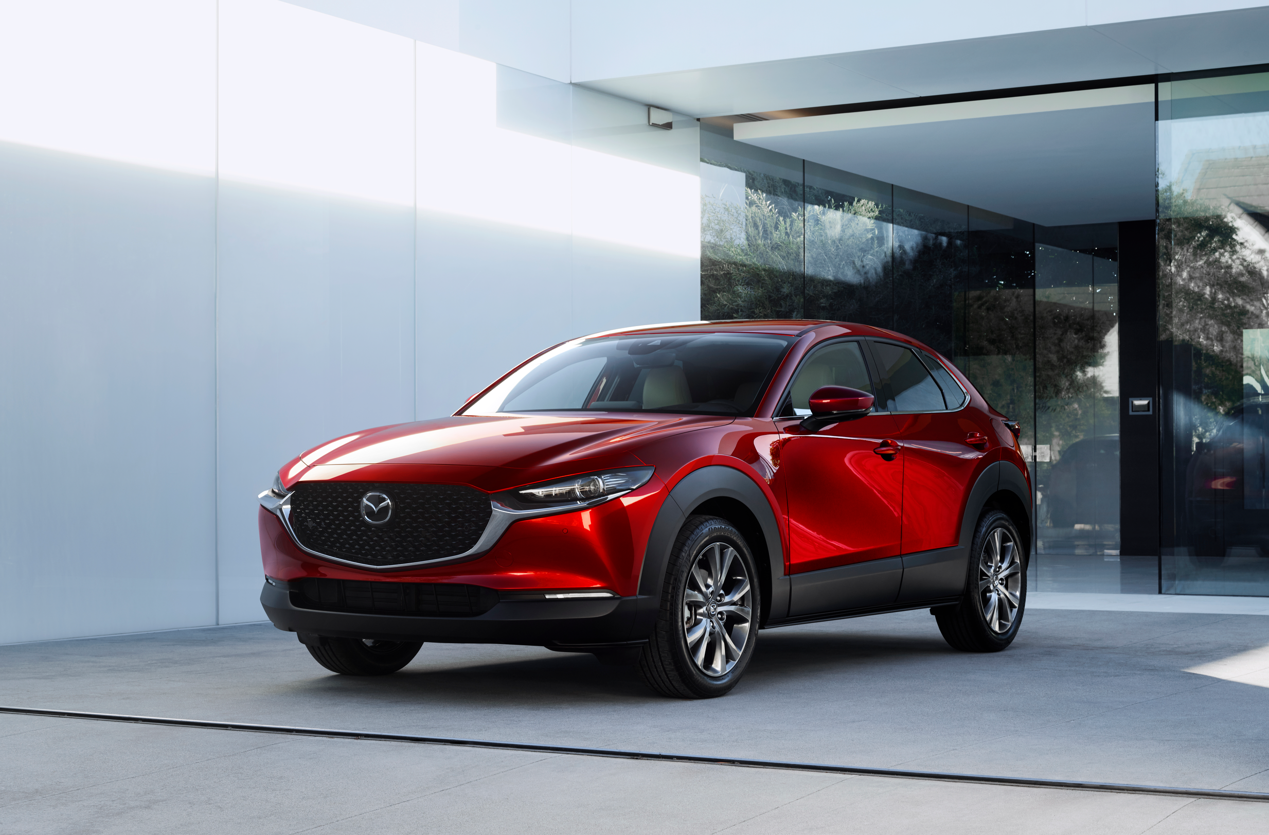CX 30